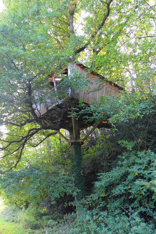 a tree house sitting in a tree at Les Ecolodges de l&#39;Orbière in Forcé