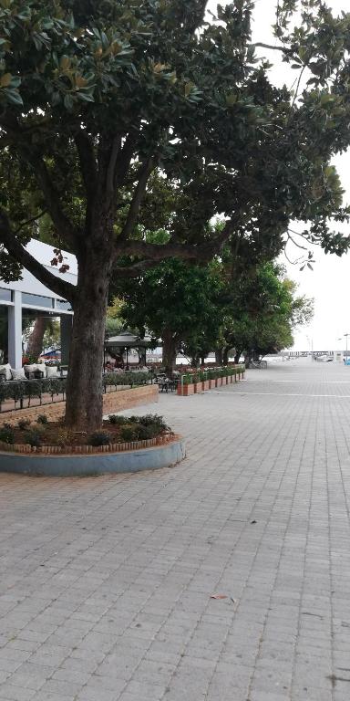 Fotografia z galérie ubytovania Apartment Giorgos kalamata v destinácii Kalamata