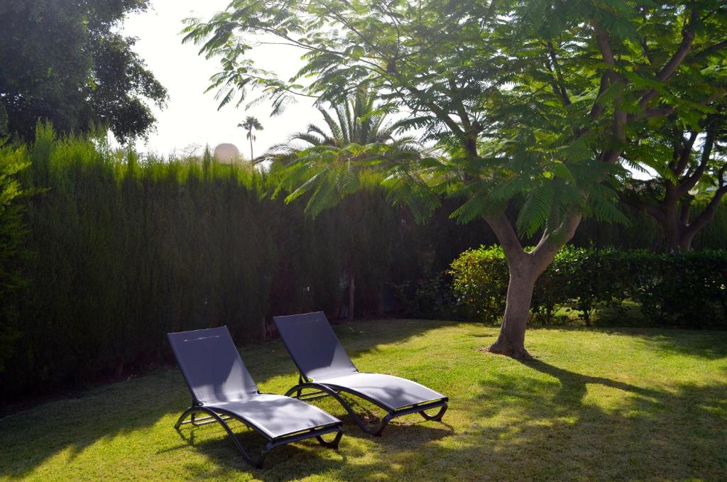 two chairs sitting in the grass next to a tree at The Peaches Bungalows 45 & 46 in Maspalomas