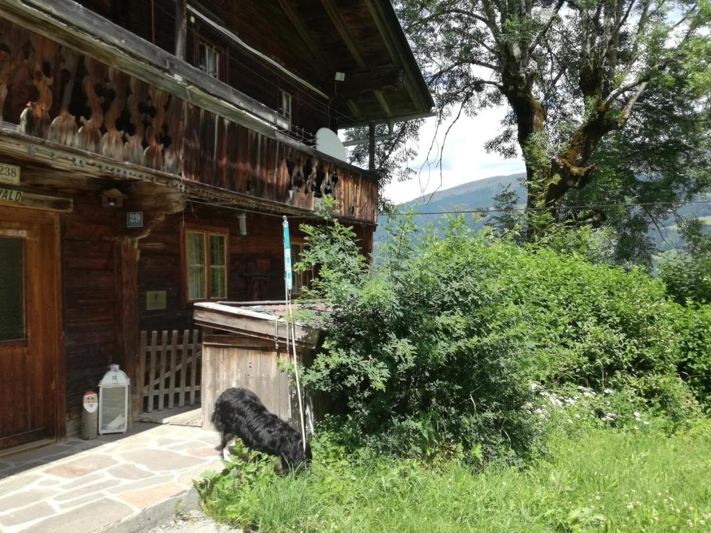 Výhľad na hory alebo výhľad na hory priamo z apartmánu
