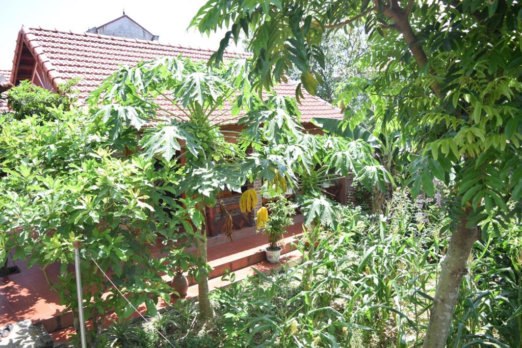 a house in the middle of a garden with trees at Van Long Family Homestay in Ninh Binh
