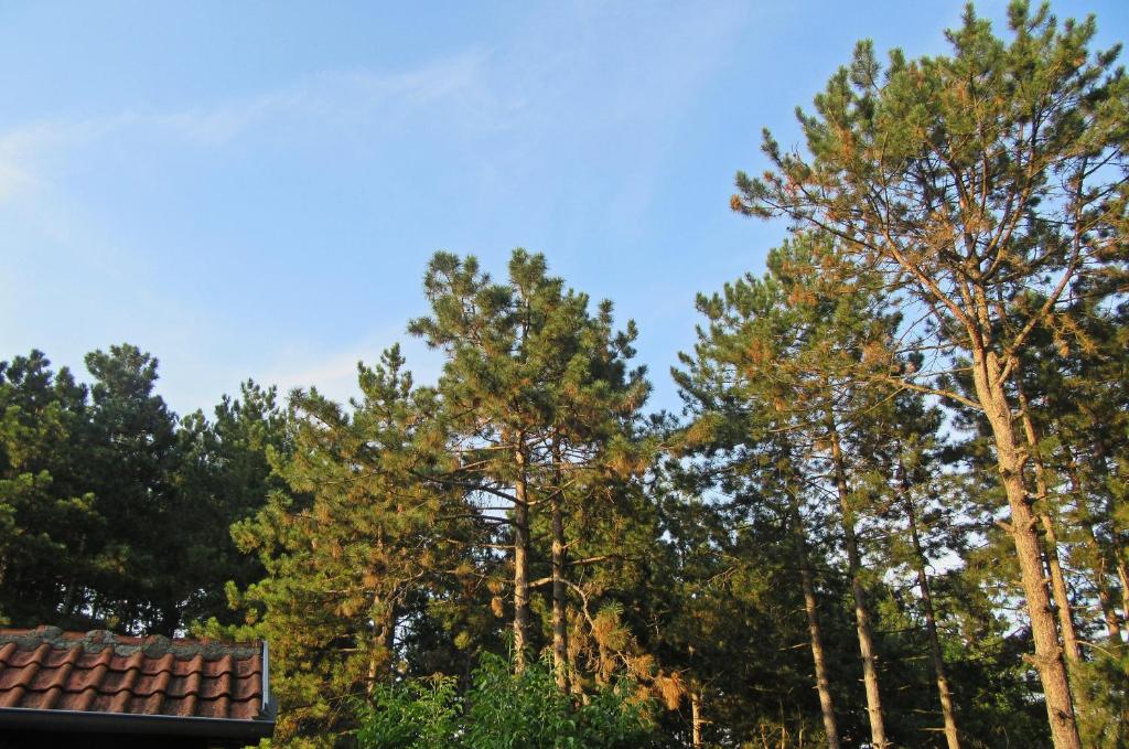 Fotografie z fotogalerie ubytování Guest House Keserovic v destinaci Vinci