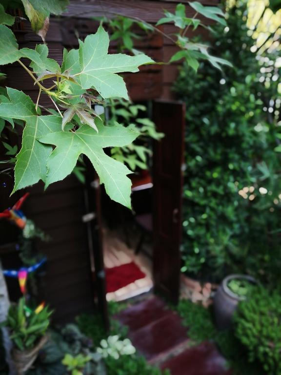 Zahrada ubytování Hoh Guesthouse