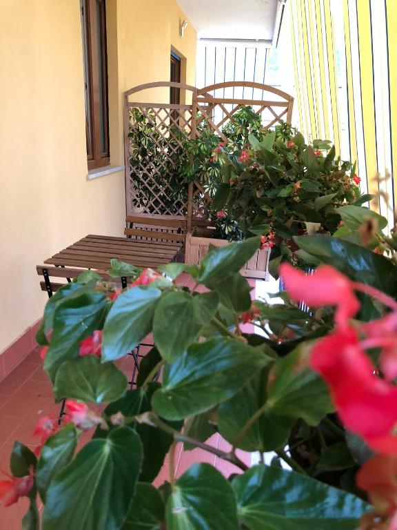 Zahrada ubytování B&B La Rada