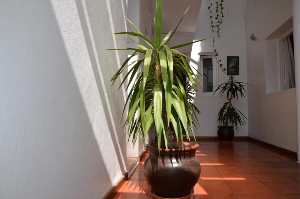 Photo de la galerie de l'établissement Hotel Romi, à Colonia del Sacramento