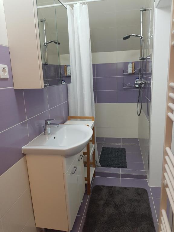 Koupelna v ubytování Luxury Apartment