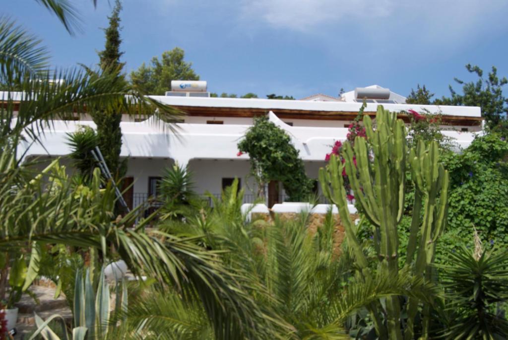 Booking.com: Buenavista Suites Hotel Boutique , Santa Eularia ...