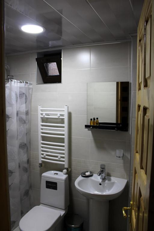 a small bathroom with a toilet and a sink at Guest House on Meskheti in Borjomi