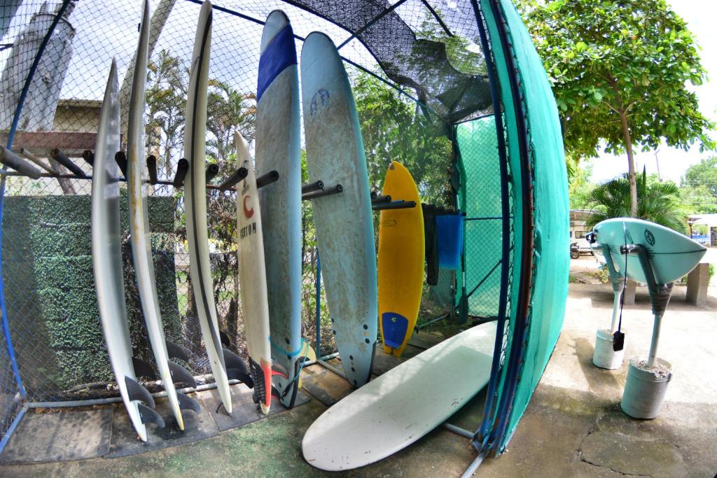Fotografie z fotogalerie ubytování Tsunami Hostel v destinaci Tamarindo