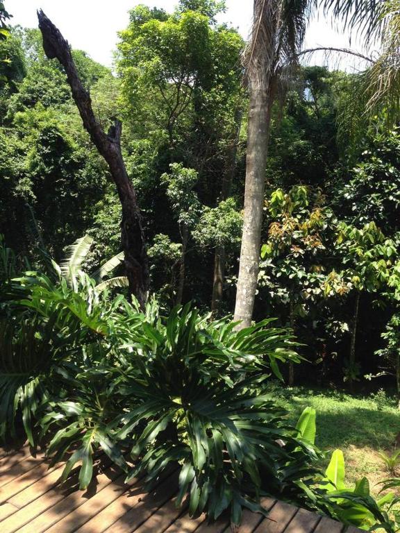  Rainforest House - Ilha Grande