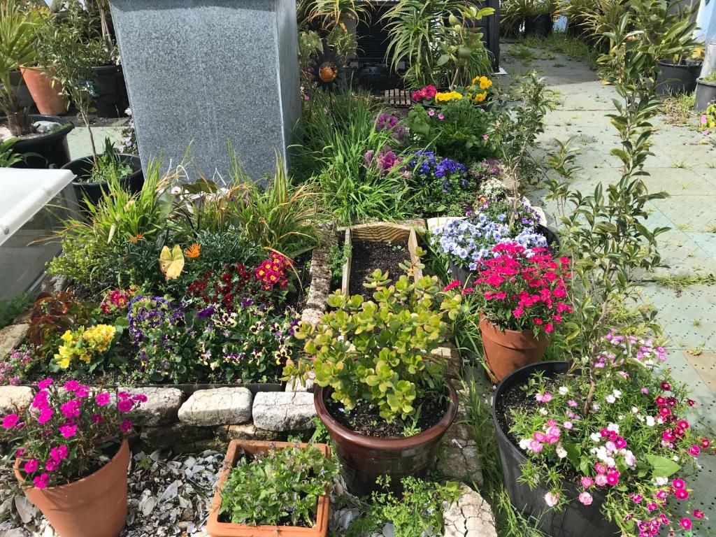 The Cell Block Backpackers - Resim 16