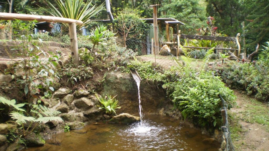  Chales Bamboo Jungle