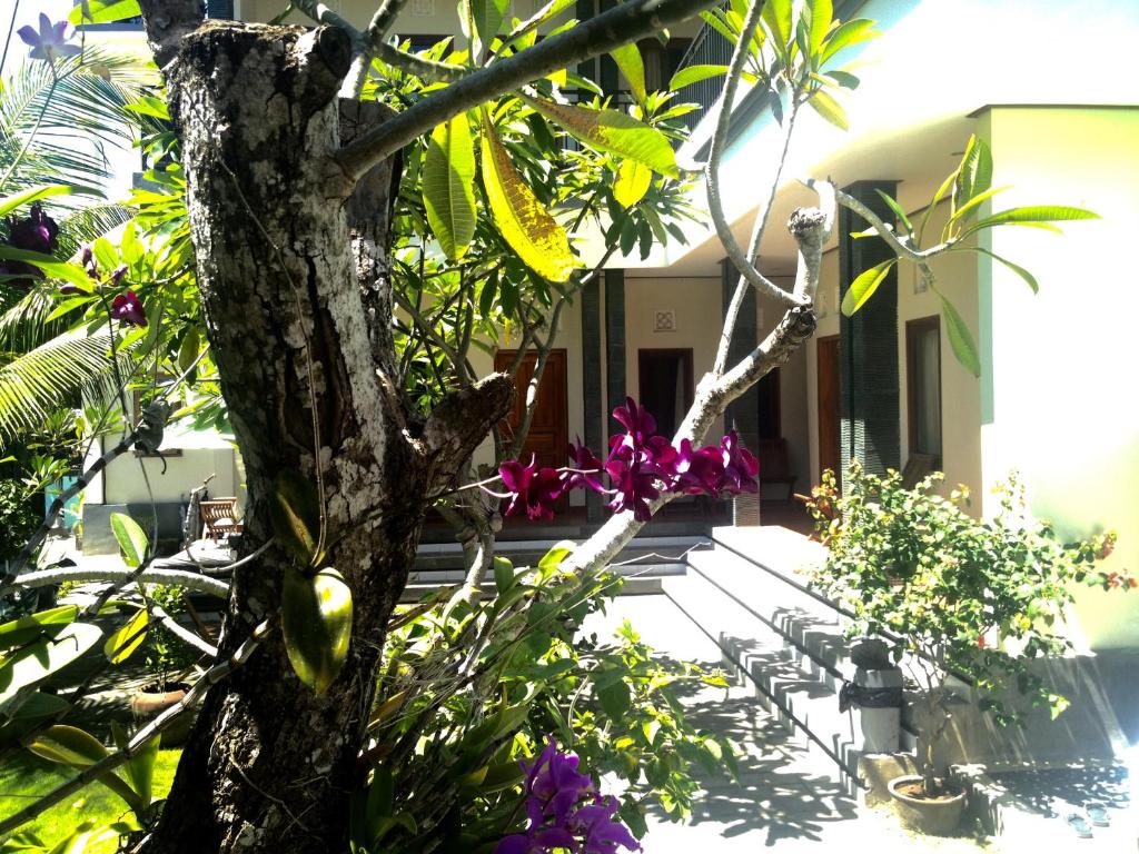 Puri Clinton Bali - 13