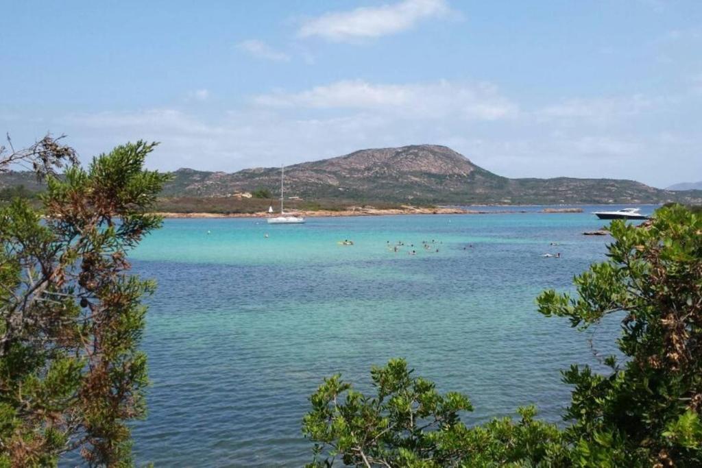 Táj Show holiday homes közelében