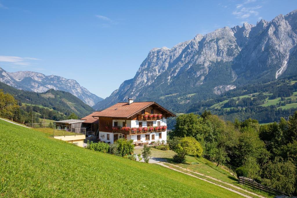 Příroda nedaleko apartmánu