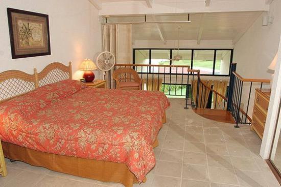 Club St. Croix Beach and Tennis Resort - 海景套房