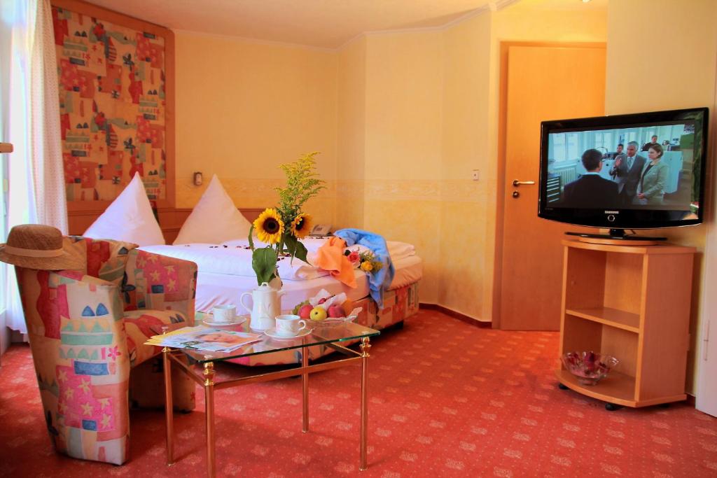 TV a/nebo společenská místnost v ubytování Hotel Weingärtner