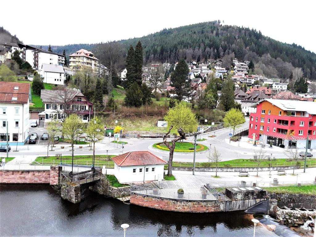 een stad met een brug over een waterlichaam bij Ferienwohnung Enzblick in Bad Wildbad