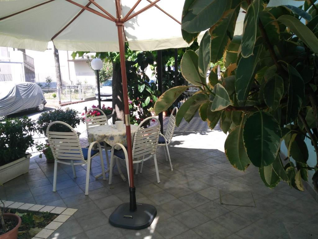 Zahrada ubytování Hotel Marittimo