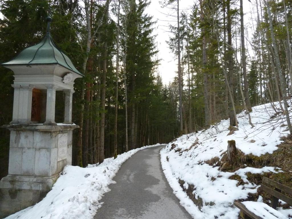 Haus Daniel Mariazell v zimě