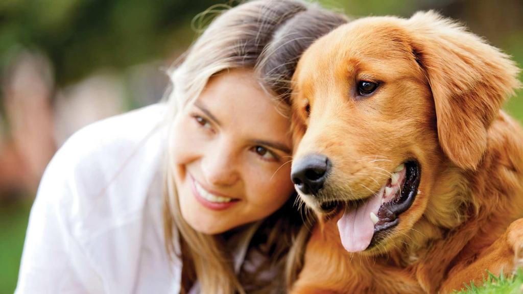 Hotel Susa - Resim 41