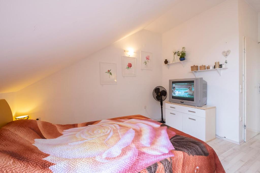 Apartments GreenSLO - Studio Apartment