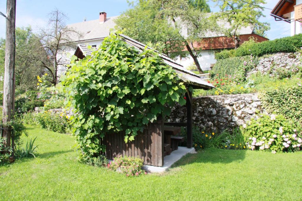 Zahrada ubytování Apartments and rooms Pri Urhu
