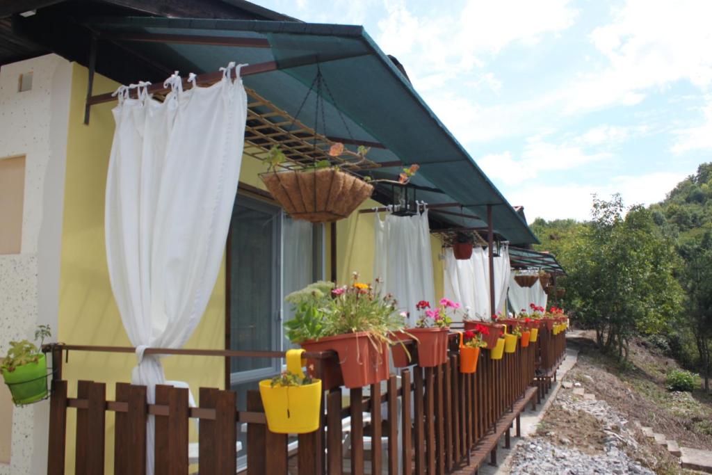 Zahrada ubytování Daskalov Bungalows