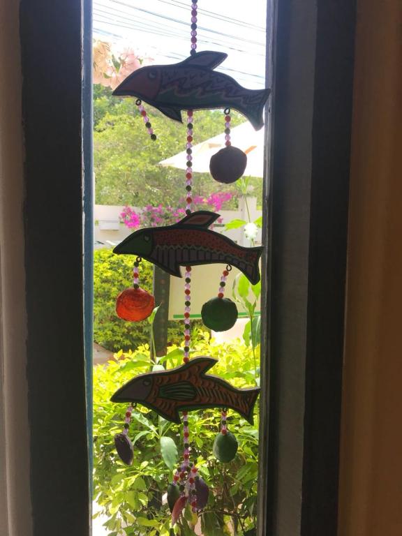  Aquarius Osteria
