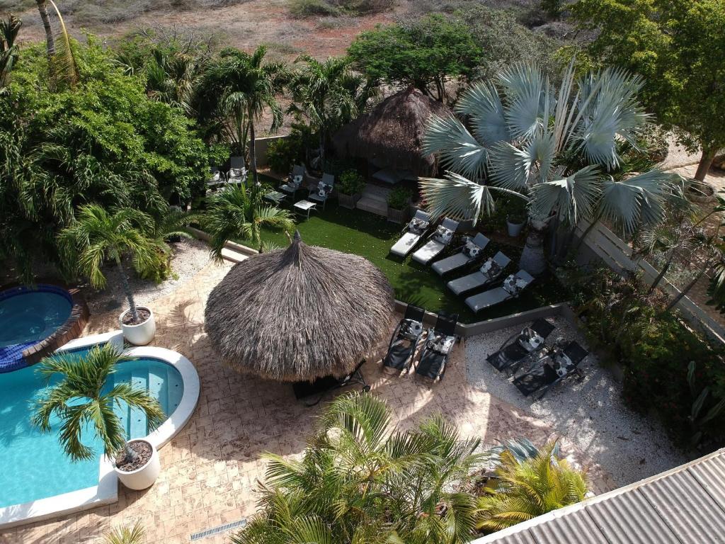 eine Luftansicht eines Resorts mit einem Pool und einem Grasschirm in der Unterkunft Bananas Apartments in Palm-Eagle Beach