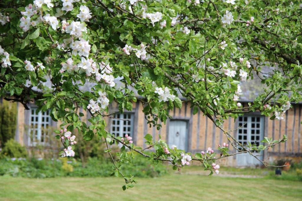 Le Pommenial de la Hérissonnière - Suite - Le Pigeonnier