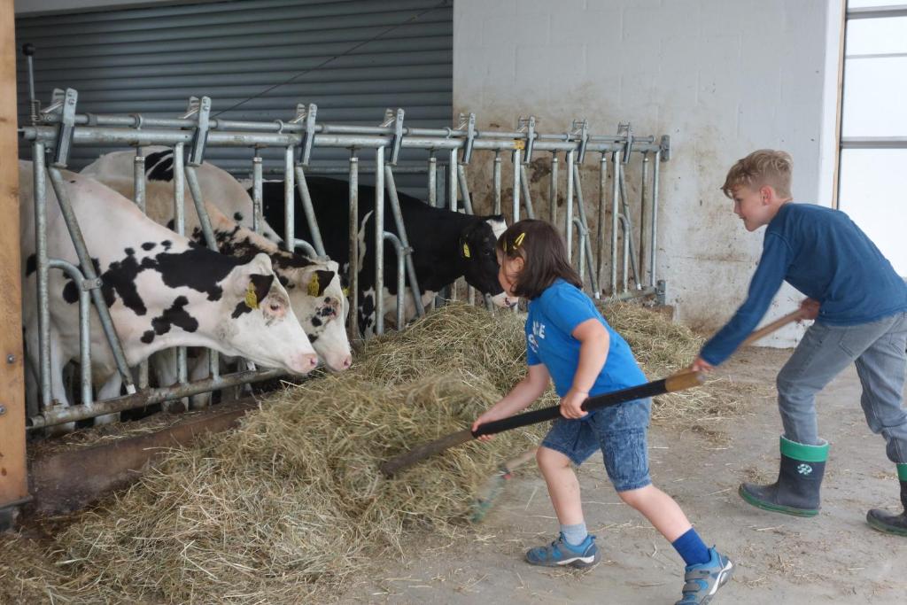 a couple of children are playing with a broom in front of cows at Meisenthaler Mühle in Kelberg