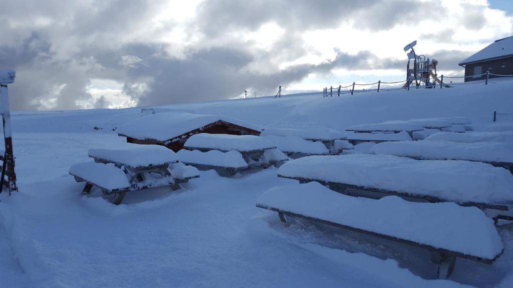 un gruppo di panchine ricoperte di neve su una collina di Gite Eden a Saint-Maurice-sur-Moselle