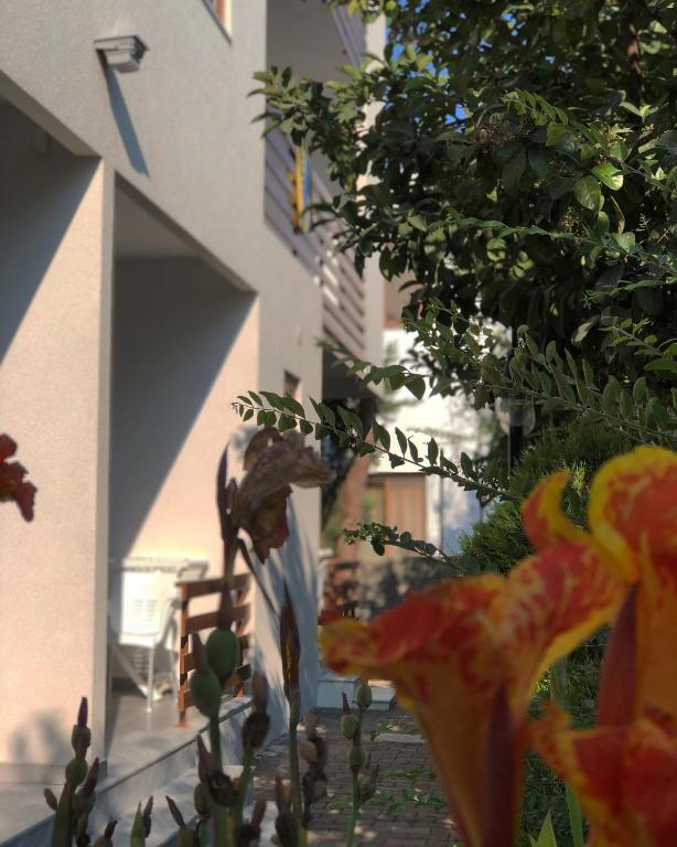 A garden outside Hotel Athina