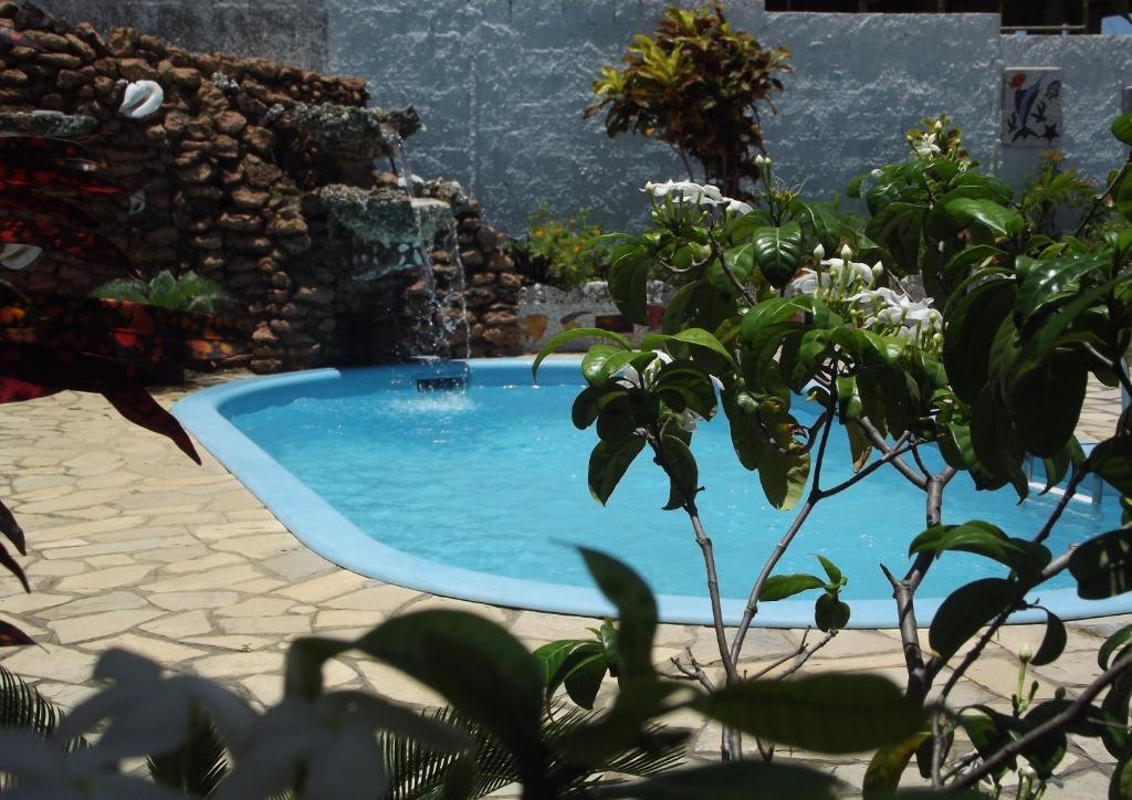 una piscina en un jardín con una planta en Pousada Chácara Porto do Sol en Jacumã