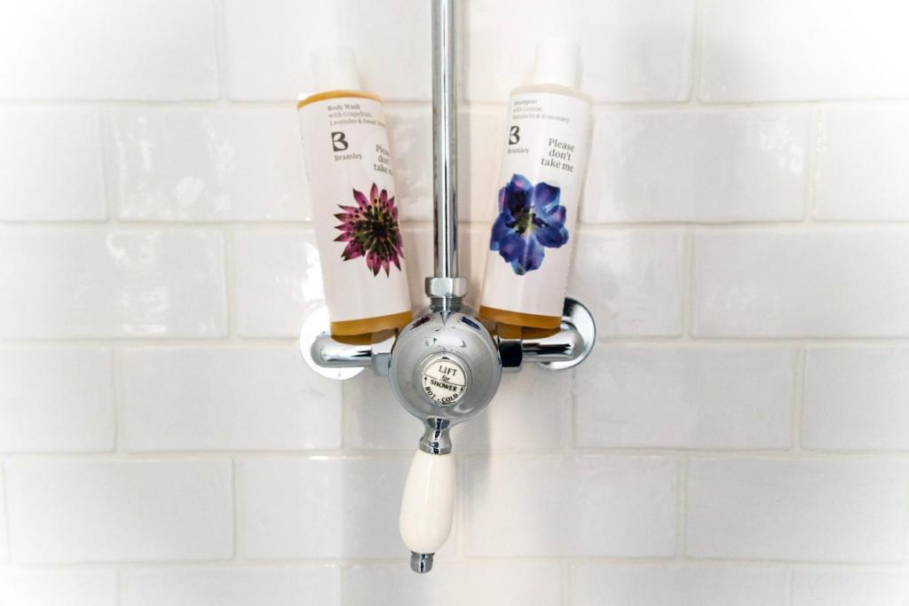 The Black Fox - Resim 19