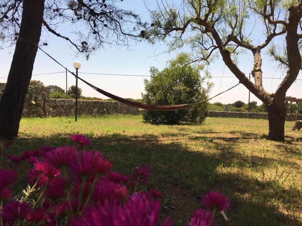 B&b nella Tenuta Nonno Carmine - foto 30