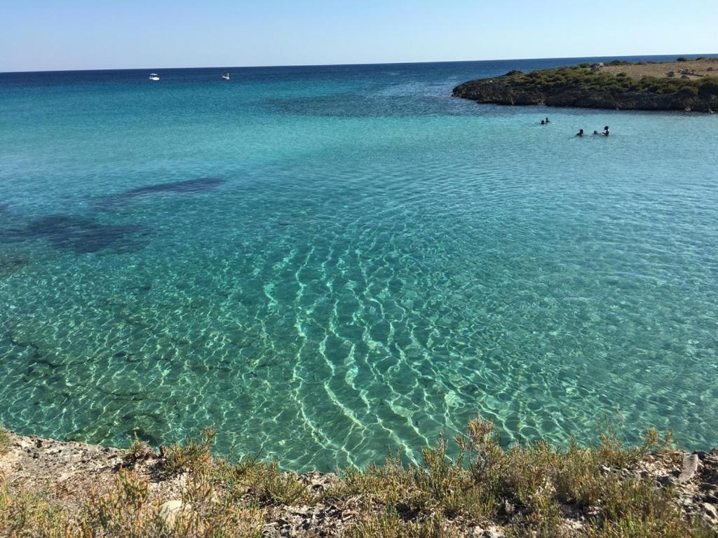 B&b nella Tenuta Nonno Carmine - foto 35