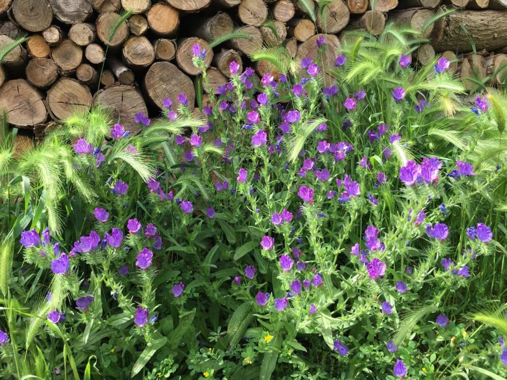 B&b nella Tenuta Nonno Carmine - foto 42