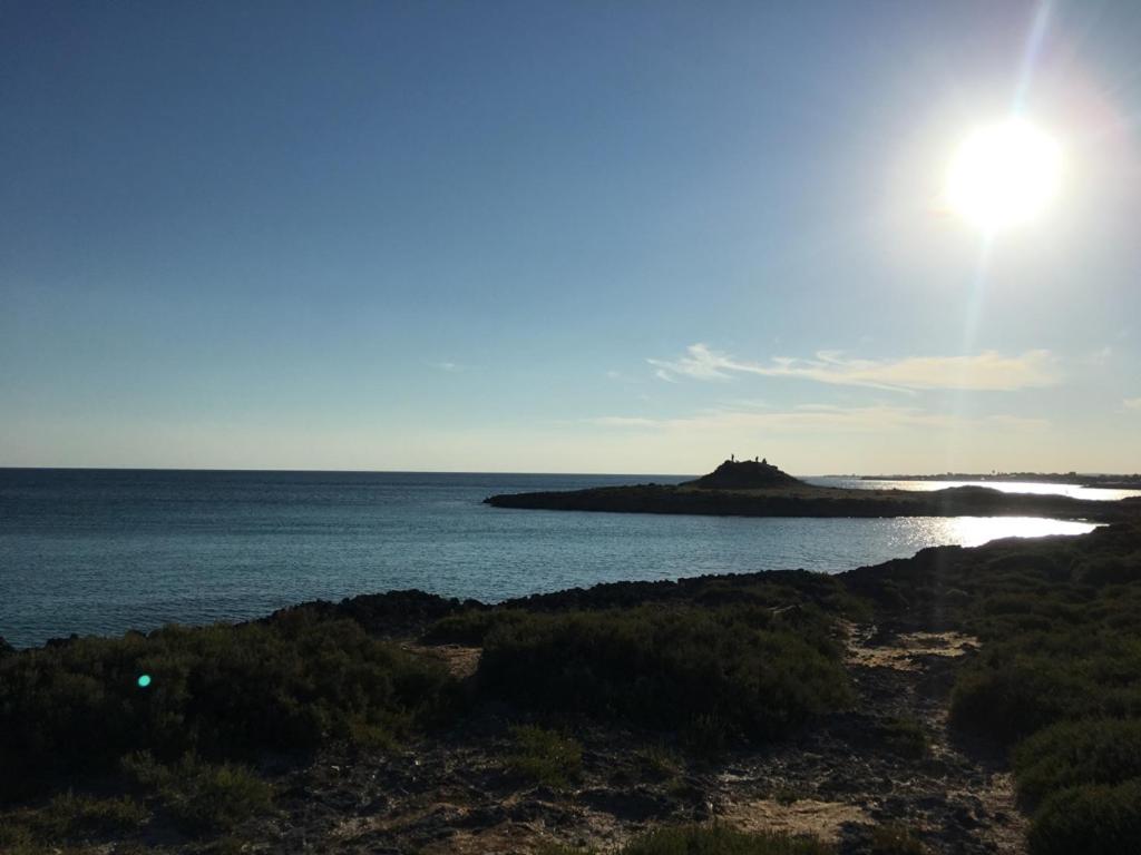 B&b nella Tenuta Nonno Carmine - foto 41