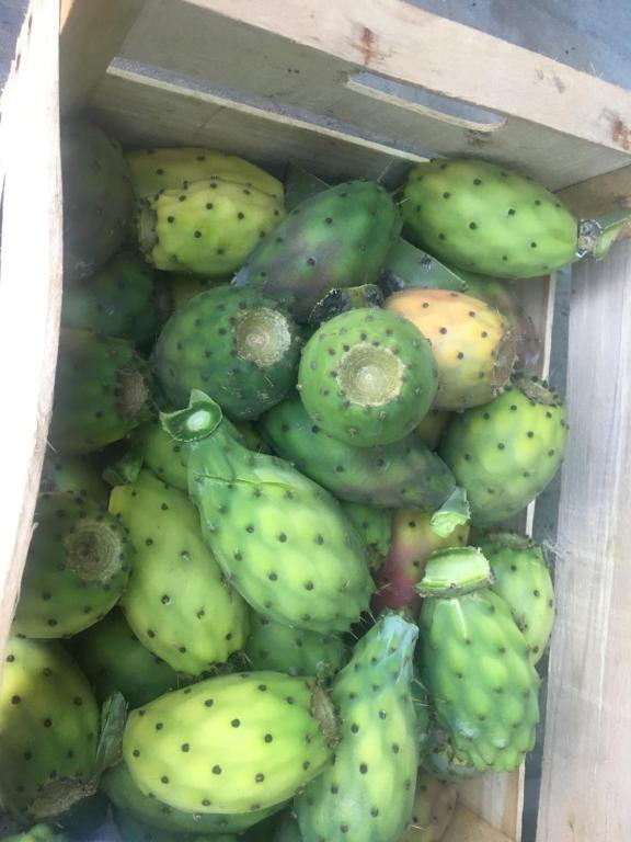 B&b nella Tenuta Nonno Carmine - foto 38