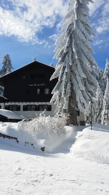 Villa Kalia v zimě