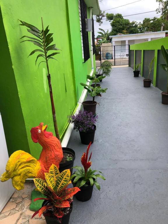 Zahrada ubytování Vieques Good Vibe Guest House