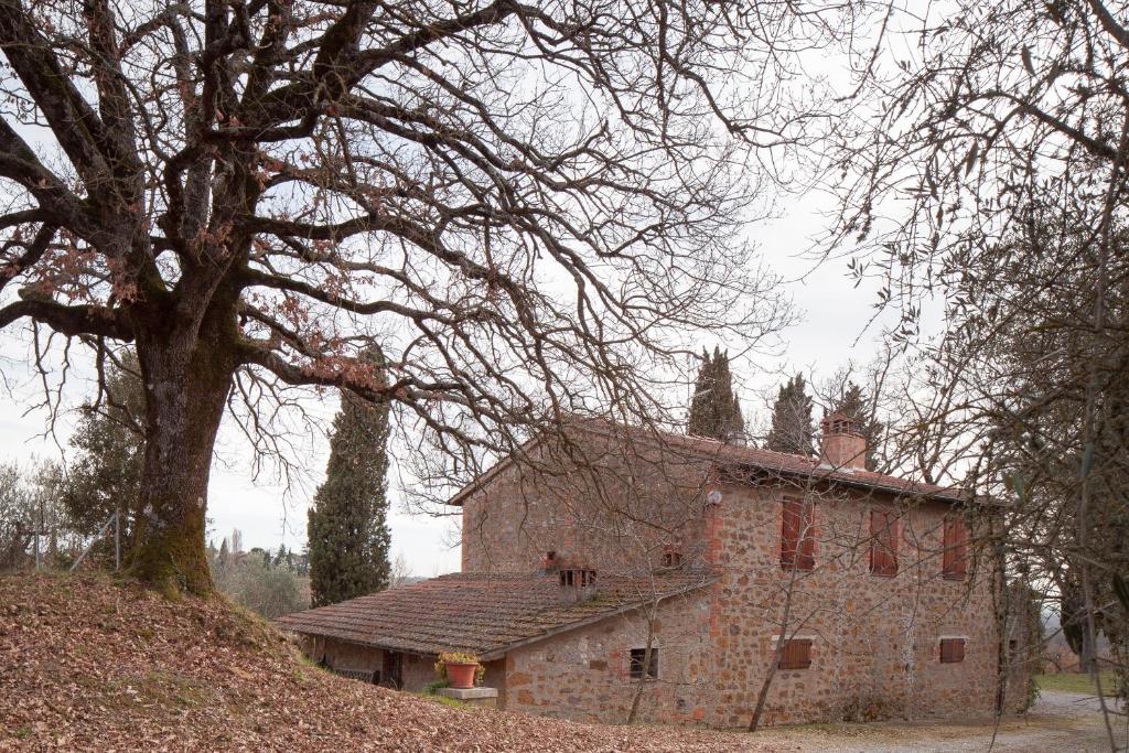un viejo edificio de piedra con un árbol delante de él en Podere Villa Rosa en Torrita di Siena