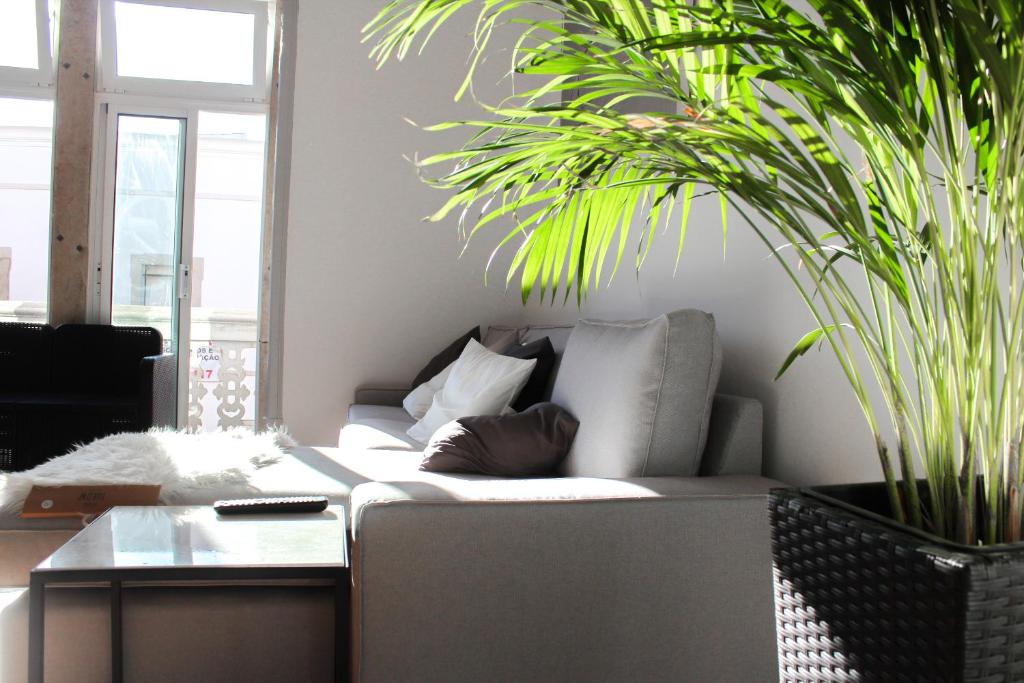 een woonkamer met een bank en een aantal planten bij Atelier 3 in Loulé