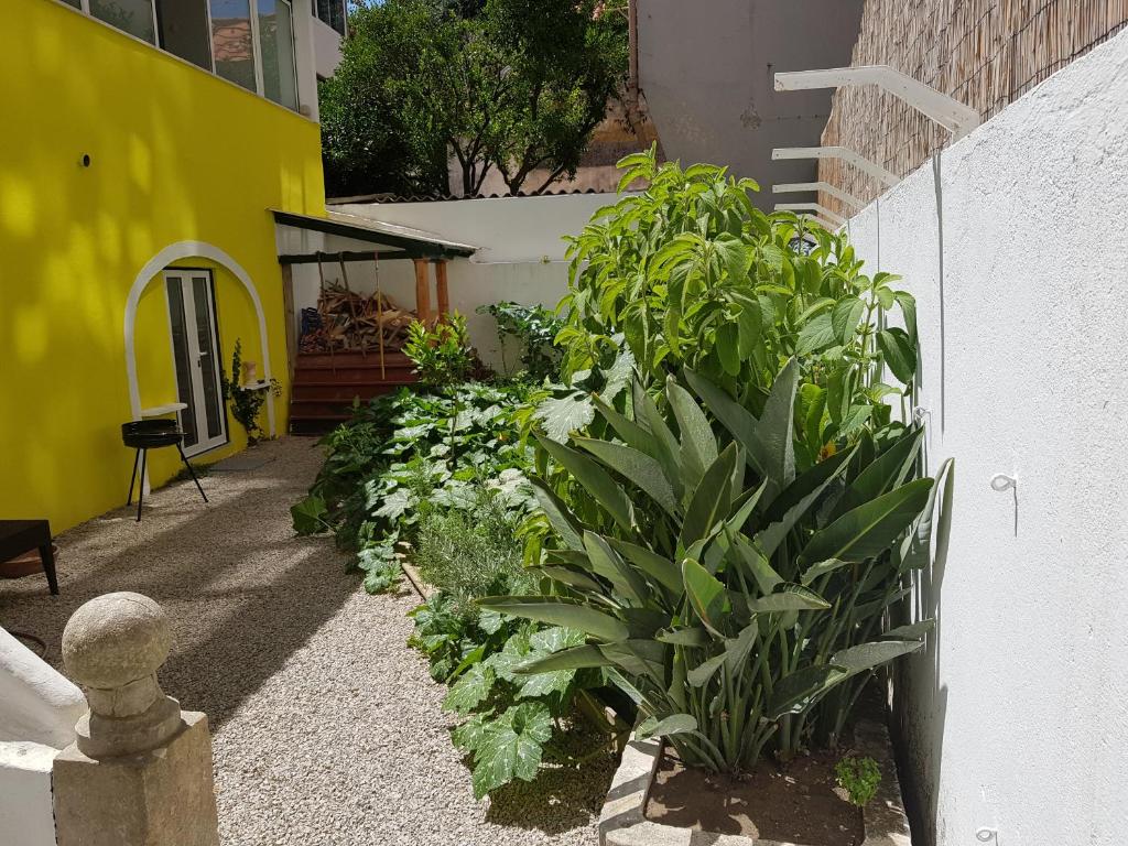 Casa Visconde de Alcácer - Appartamento