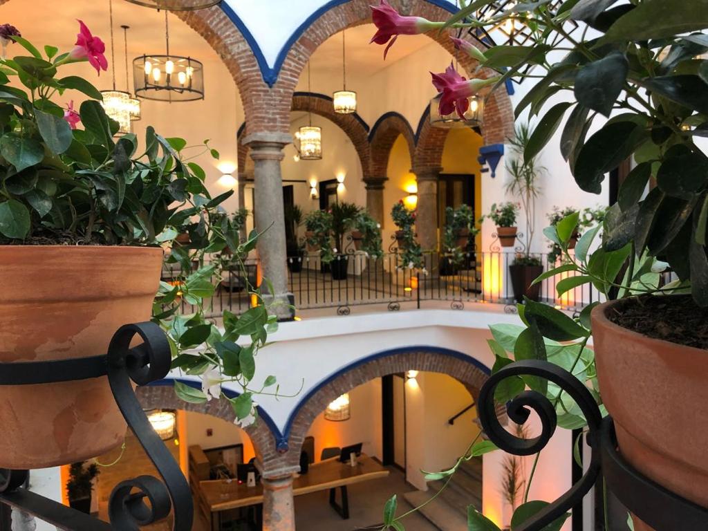 a lobby with a bunch of potted plants at Casa de la Audiencia in Atlixco