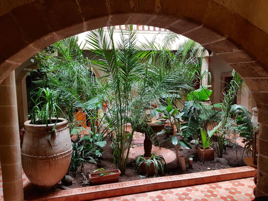 Zahrada ubytování Riad Arambys