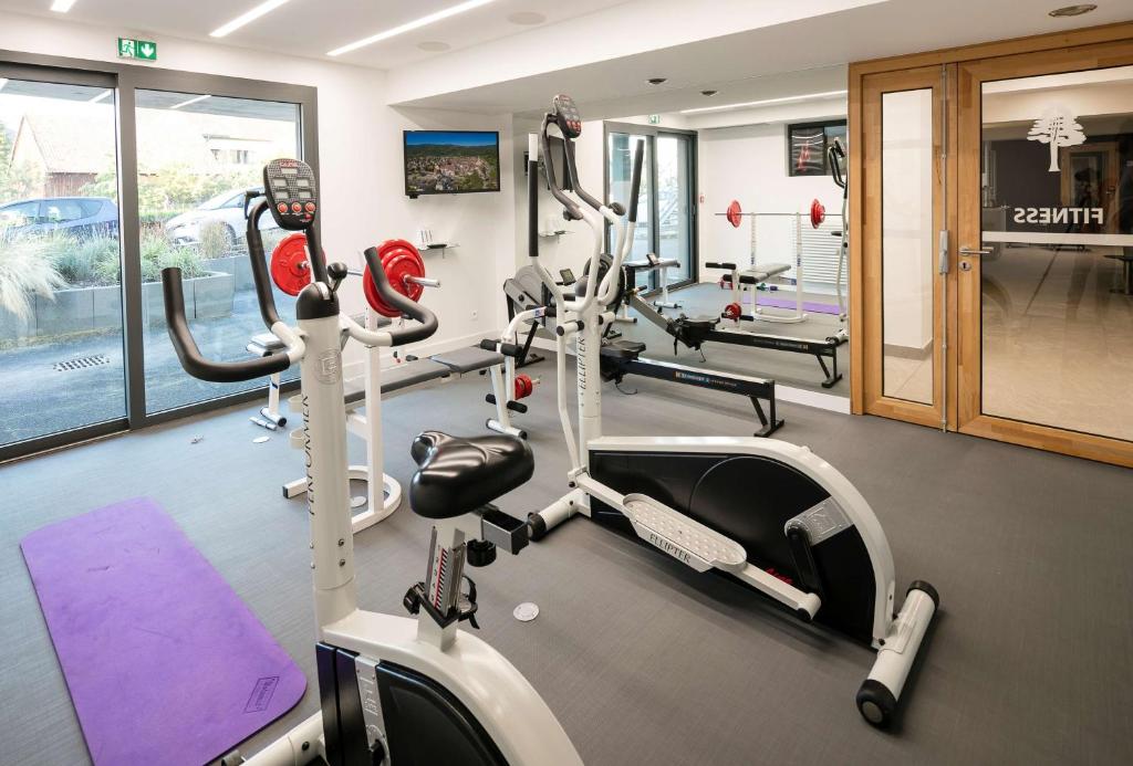 Best Western Plus Hotel & SPA Le Schoenenbourg – photo 31