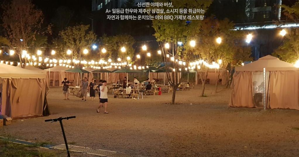 Hosté ubytování Pine Forest Jeongseon Alpine Resort